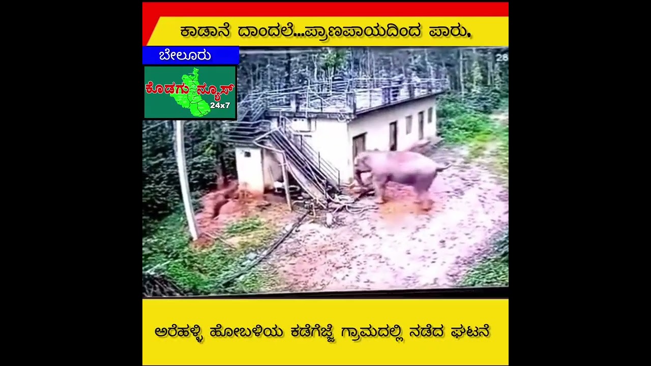 ಹಾಸನ ಜಿಲ್ಲೆಯ ಬೇಲೂರು ತಾಲ್ಲೂಕಿನ ಅರೆಹಳ್ಳಿ ಹೋಬಳಿಯಲ್ಲಿ ಕಡೆಗಜ್ಜೆ ಗ್ರಾಮದಲ್ಲಿ ನಡೆದ ಘಟನ.