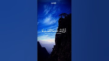 سورة الحشر #القرآن_الكريم #قران_كريم #القرآن #محمد_صديق_المنشاوي #المنشاوي #منشاوي #استغفر_الله