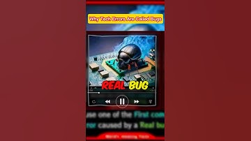 Why Do We Call Computer Errors ‘Bugs’? The Weird Origin!