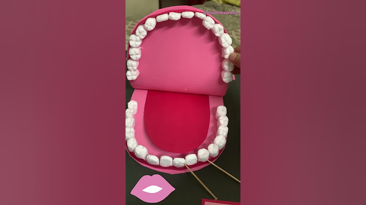 Types of teeth 3d model #typesofteeth #3dmodel #schoolprojects #creativemodel #teethmodel #project