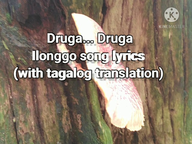 #05 Druga... Druga by Pirot.. Ilonggo song (with tagalog translation) pls.. Subscribe and share.... class=