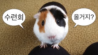 [CCM저녁집회SONGLIST:금요일] 26동계수련회 올거지?🤷🏻 안가면 이 모든게 언 발란스 한.⚖️ | 토브청년부 NO HOW? KNOW HOW! 수련회 집회찬양 플리 🎶
