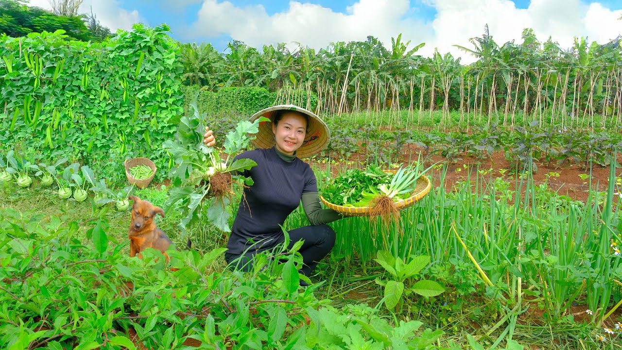 Harvest & Cook: Green Chili, Wild Vegetables & Winged Beans with Catfish | Garden Care