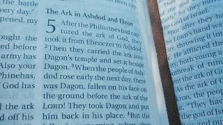 The Ark in Ashdod and Ekron -The Arc Returned to Israel