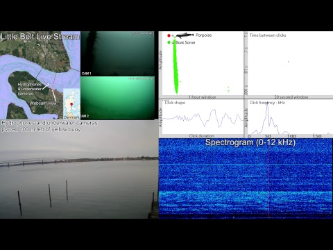 SEICHE WATER TECHNOLOGY GROUP LTD Live Stream