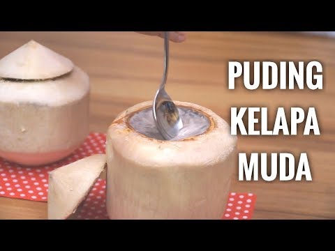 resep-dessert:-pudding-kelapa-muda