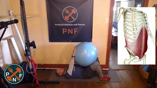 Supine Isometric Physio Ball Squeeze
