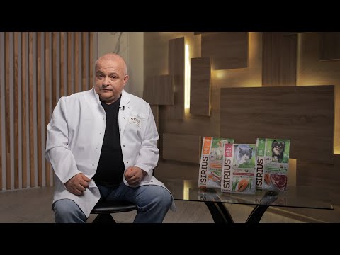 Преимущества влажного корма для кошек