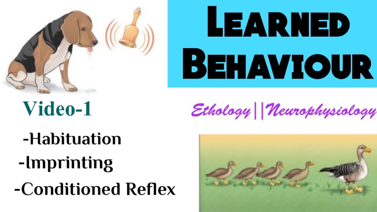 1)Learning and Memory|Learned Behaviour|Types of  learning|Habituation|Imprinting|Conditioned Reflex| - YouTube