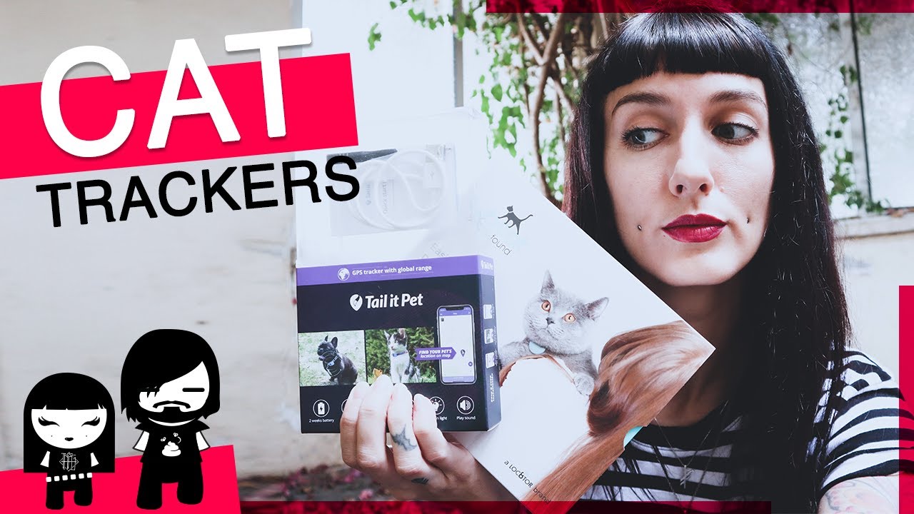 tail it cat tracker