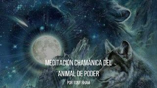 Meditación chamánica del animal de poder