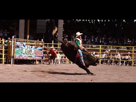 BANDA LA JARIPERA - LA RABIA [ Video Oficial ] Morena Music