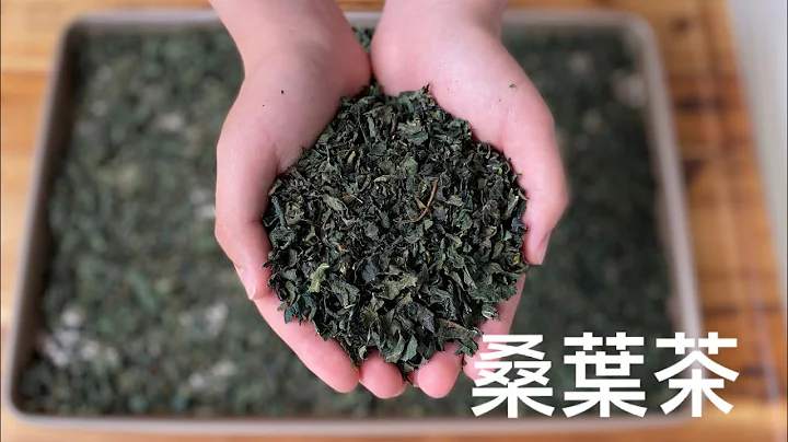 [自製桑葉茶］Home Made Mulberry Tea 桑葉具有補益和抗衰老作用。 桑葉不但緩解頭暈、頭痛、目赤昏花，也能平抑肝陽、清肝明目。 - 天天要聞