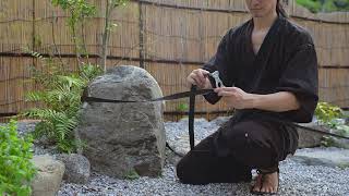 Ninja Pole By Lupit Genesis Setup Tutorial