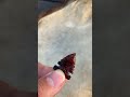 Red obsidian arrowhead #flintknapping