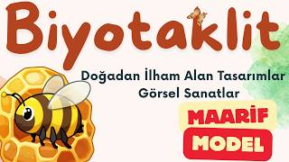 Maarif Modeli ile Görsel Sanatlar: Biyotaklit
