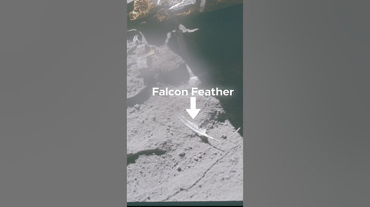 Astronauts left some weird stuff on The Moon!