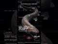 Frilled Shark — JAWS: 300 tri-cusped teeth arranged in 25 rows | Benthos Error
