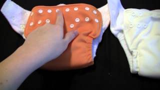 Celebrity Fuzzibunz Onesize vs. Elite Net Worth