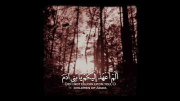 مقطع من سوره ياسين تلاوه خاشعه👍❤