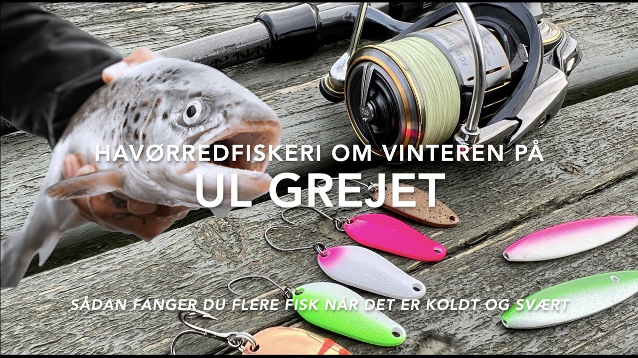 Havørredfiskeri om vinteren på ul grejet fang flere fisk når det er koldt og svært