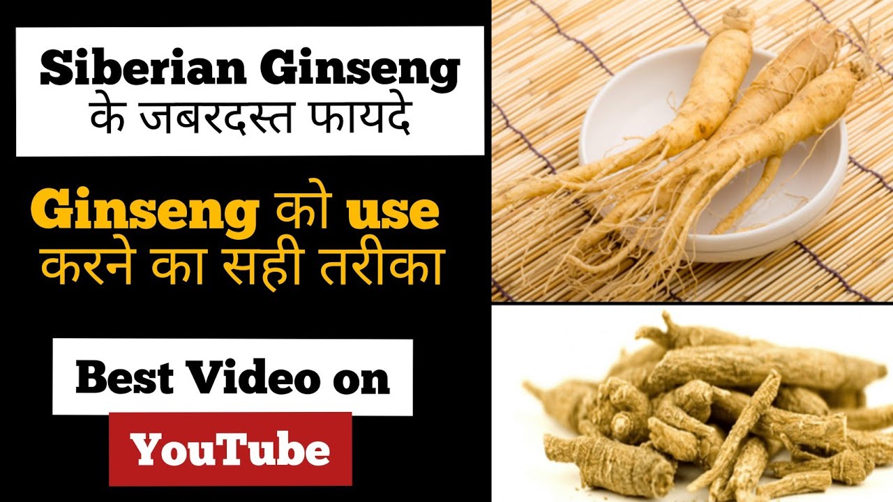 Siberian Ginseng Siberian Ginseng keh Fayde Siberian ginseng