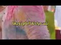 مسلسل لحن القلوب الحلقه 51 سحر تثبت براءتها أمام ماهد 