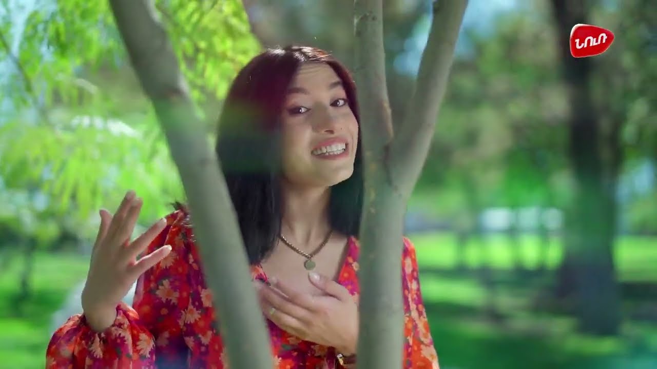 Գրքի Գրկում - Հերման Հեսսե, Տափաստանի գայլը (Hermann Hesse, Der Steppenwolf)