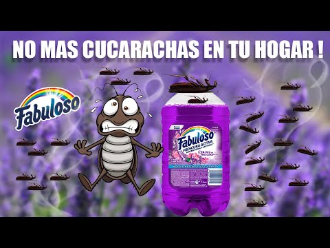 Pon Esto en