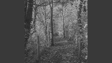 Contemporary Backdrops for Devoted Inspiration