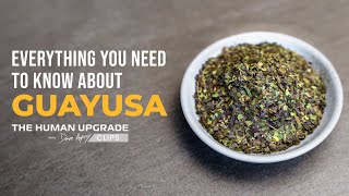 What is Guayusa? Everything You Need to Know | Chris Fields x Dave Asprey