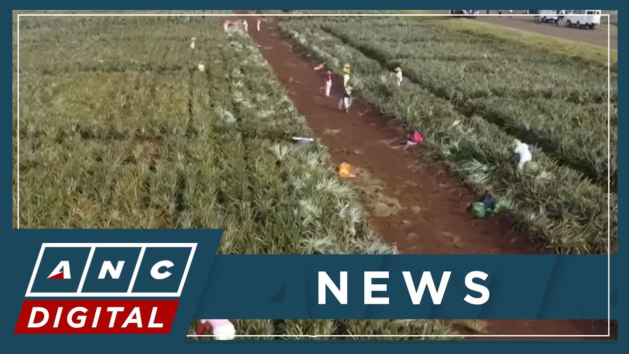 Del Monte President: Without farmers, there are no pineapples, there is no Del Monte | ANC