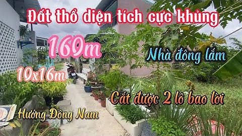 Đất Cần Giuộc Giá Rẻ| Diện tích khủng có thể cắt làm 2 lô, có nhiều tiện ích xung quanh.