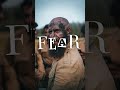 #Fear #Sigma_Male #intj #shorts #us