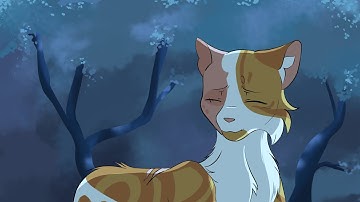 I was wrong - Swiftpaw and Brightheart MAP part 18B