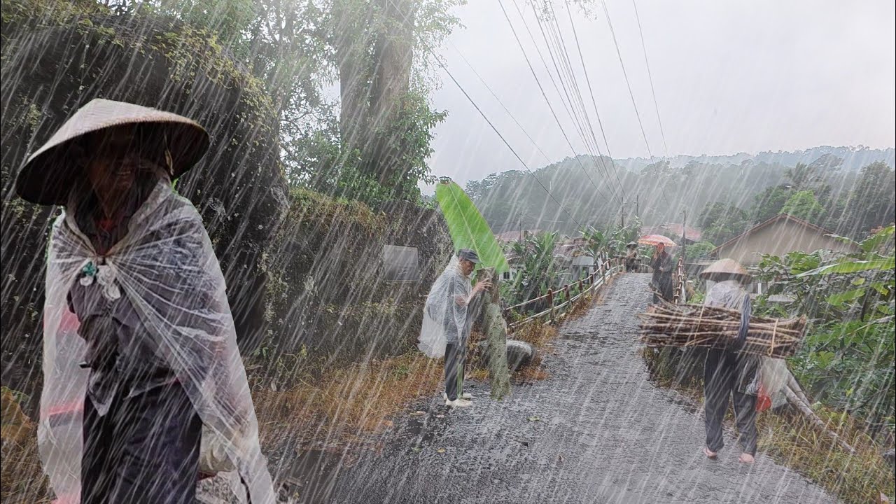 Walking in Heavy Rain with Strong Winds | Heavy Rain and Thunderstroms ...