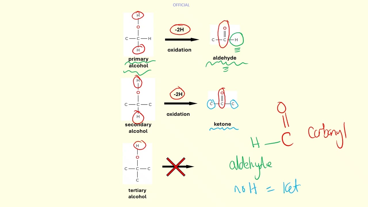 04 Oxidation of Food