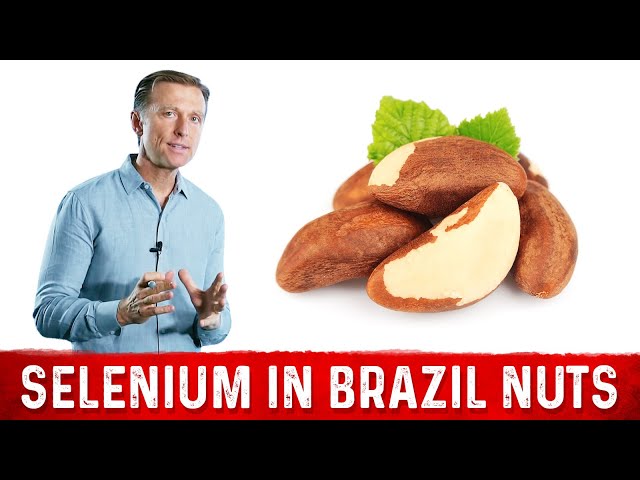 brazil nuts and glutathione Important Health Benefits of Are Brazil Nuts Good for