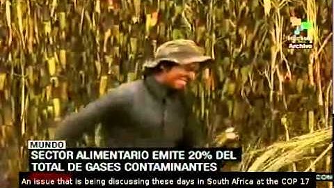 FAO urges to reduce fossil fuels dependence