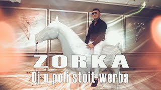 ZORKA - Oj u poli stoit werba ( Ой у полі стоїть верба )