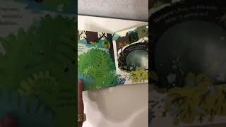 Peep inside the Forest , usborne