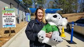 Rainforest Carwash for Koalas Magee