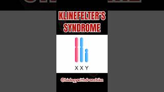 One extra X, silent effects—Klinefelter’s Syndrome(XXY)#genetics #syndromes #chromosome #chromosomal