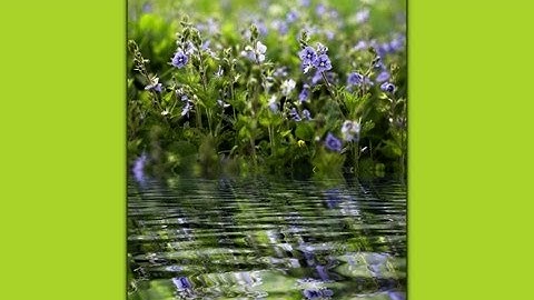 Add a water reflection to a photo in GIMP 2.8