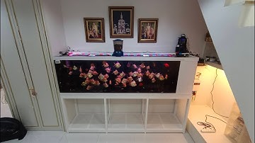 Prince เยาวราช - งานสลับขาตู้ปลาพร้อมเพิ่มตู้ 108 นิ้วจาก 1 ชั้นเป็น 2 ชั้น พร้อมระบบ Overflow Set 1