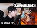 Dr. STONE OP 2 Full 「PELICAN FANCLUB - Sangenshoku」 【Cover by RU】