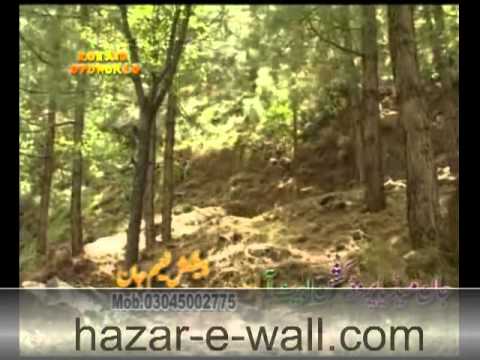hindko-funny-drama-sarkari-order-hazar-e-wall.com-part-8