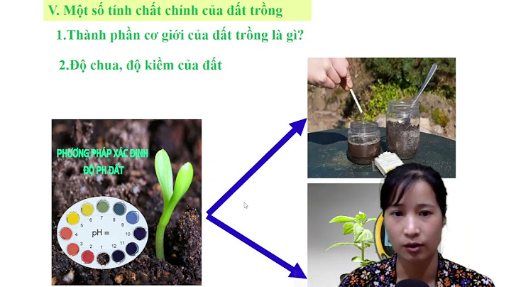 Độ chua độ kiềm của đất là gì