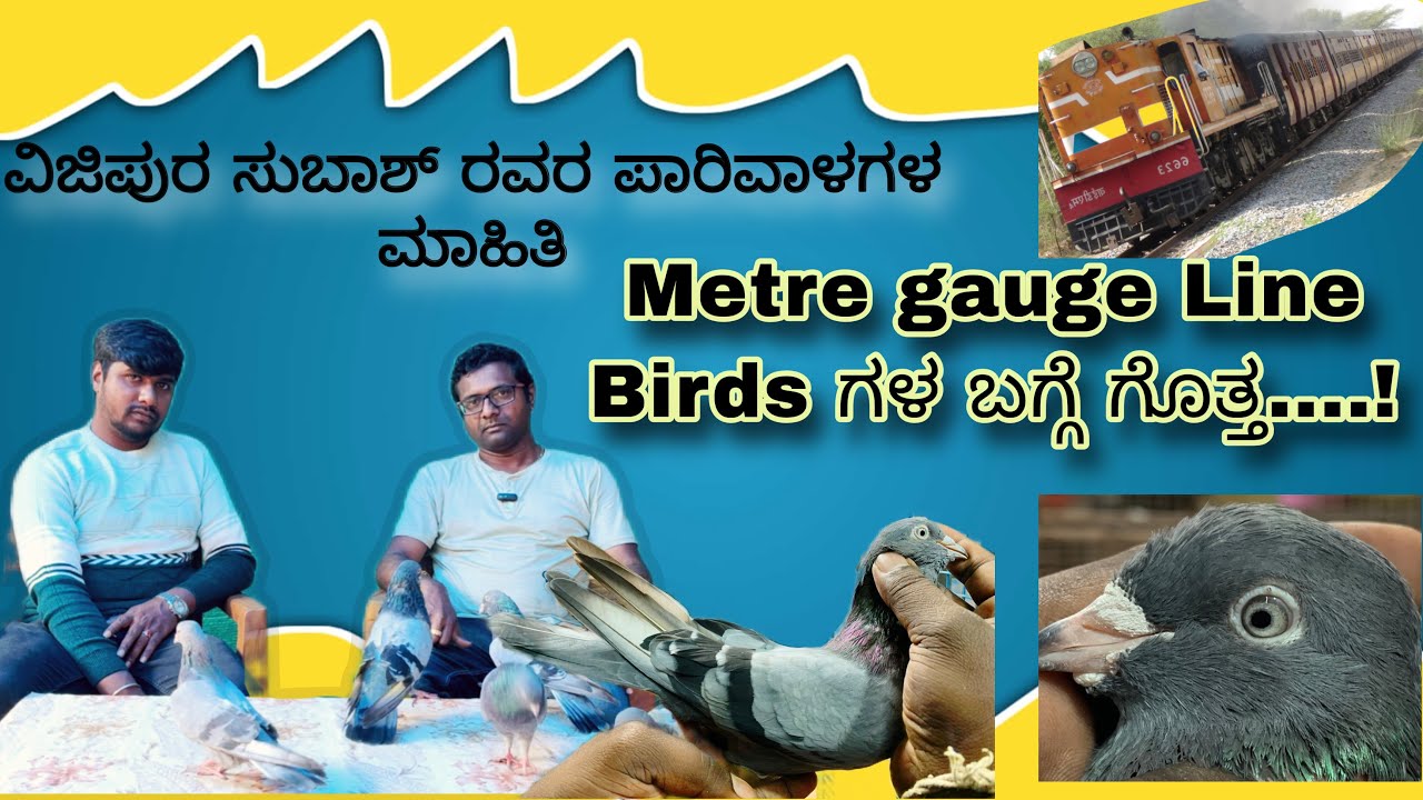 Untold Stories About Vijipura Devanahali Shokdars | Subash | Metregrudge Birds |ರಿಯಲ್ ಲೈಫ್ ಶೋಕ್ದಾರ್