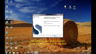 how to install steganos 2012 full